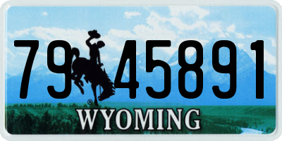 WY license plate 7945891