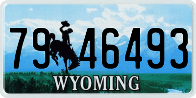 WY license plate 7946493