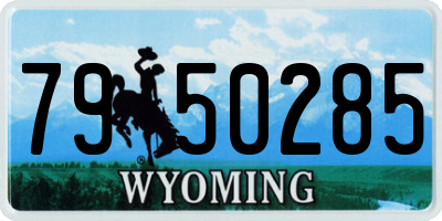 WY license plate 7950285