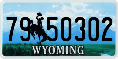WY license plate 7950302