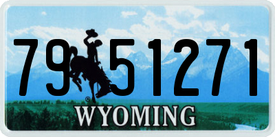 WY license plate 7951271