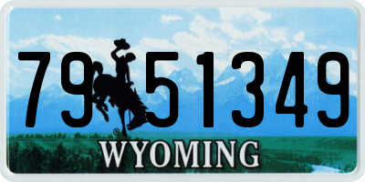 WY license plate 7951349
