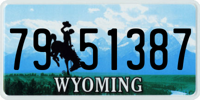 WY license plate 7951387