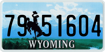 WY license plate 7951604
