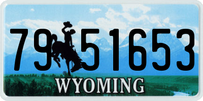 WY license plate 7951653