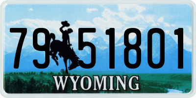 WY license plate 7951801