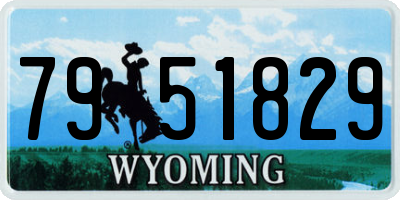 WY license plate 7951829