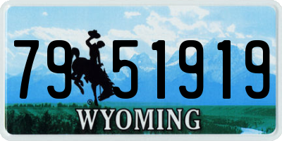 WY license plate 7951919