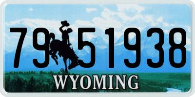 WY license plate 7951938