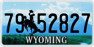 WY license plate 7952827