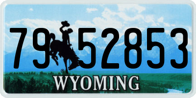 WY license plate 7952853