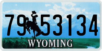 WY license plate 7953134