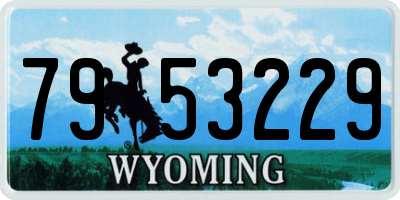 WY license plate 7953229