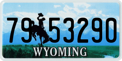 WY license plate 7953290