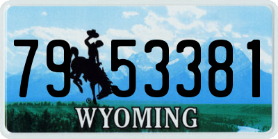 WY license plate 7953381
