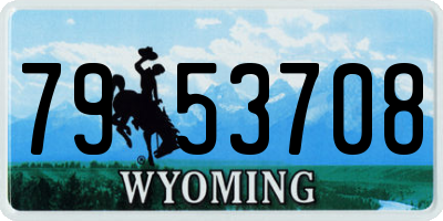 WY license plate 7953708