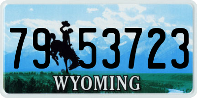 WY license plate 7953723