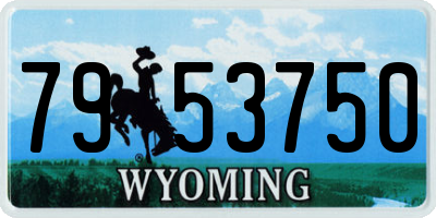WY license plate 7953750