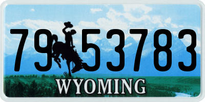 WY license plate 7953783
