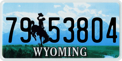 WY license plate 7953804