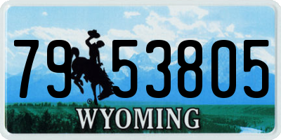 WY license plate 7953805