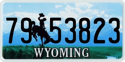 WY license plate 7953823