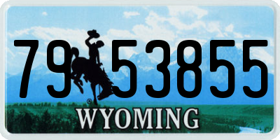 WY license plate 7953855