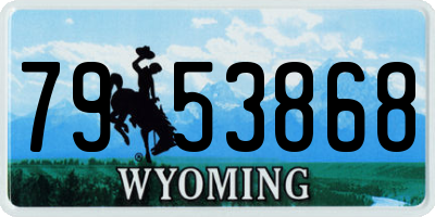 WY license plate 7953868