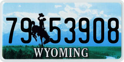 WY license plate 7953908