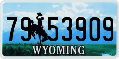 WY license plate 7953909