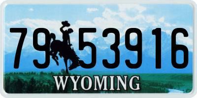 WY license plate 7953916