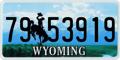WY license plate 7953919