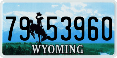 WY license plate 7953960
