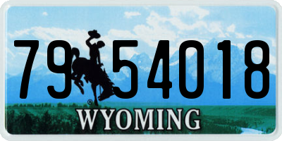 WY license plate 7954018