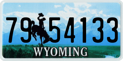 WY license plate 7954133