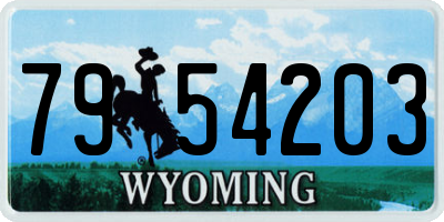 WY license plate 7954203