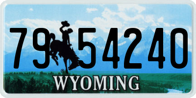 WY license plate 7954240