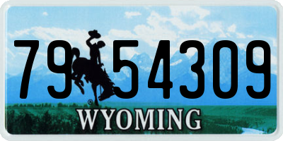 WY license plate 7954309