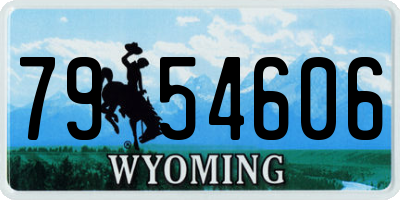 WY license plate 7954606