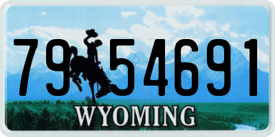 WY license plate 7954691
