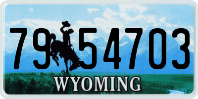 WY license plate 7954703