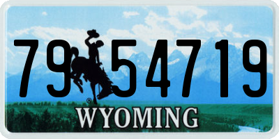 WY license plate 7954719