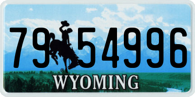 WY license plate 7954996