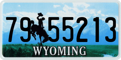 WY license plate 7955213