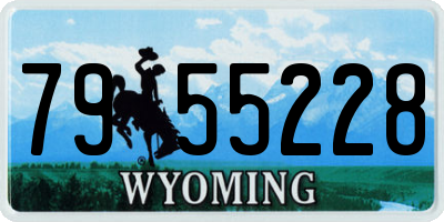WY license plate 7955228