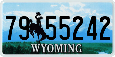 WY license plate 7955242
