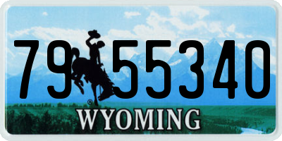 WY license plate 7955340