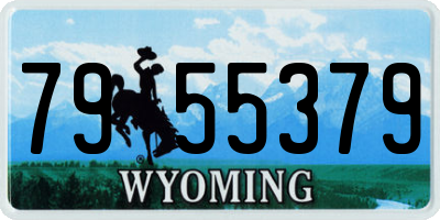 WY license plate 7955379