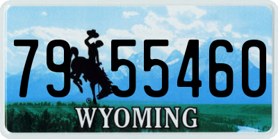 WY license plate 7955460