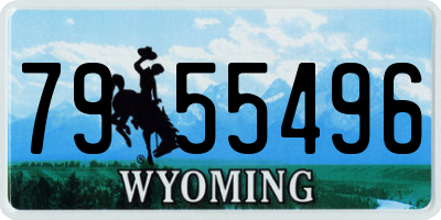 WY license plate 7955496